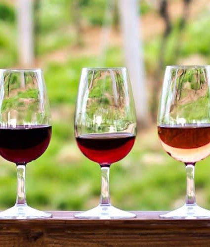 Napa Valley Winery Tour