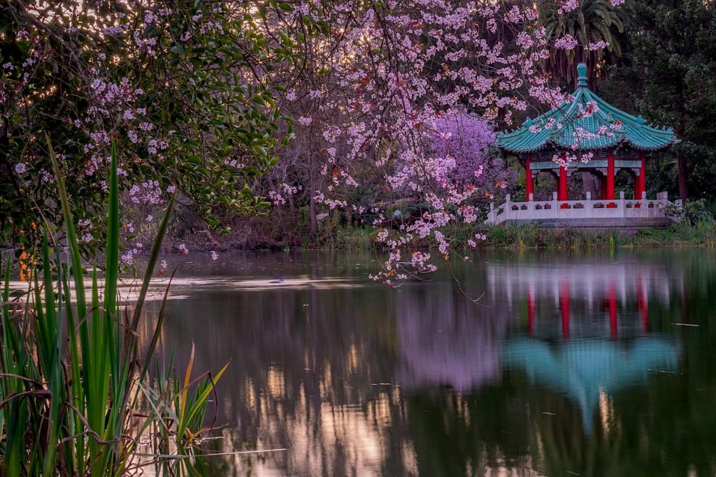 Stow Lake in Golden Gate Park